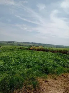Fazenda/Sítio à venda, 1452000m² no Serra Verde, São Pedro