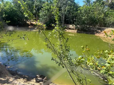 Fazenda/Sítio com 7 Quartos à venda, 24000m² no , Edealina