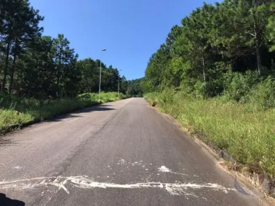 Lote/Terreno à venda, 722m² no Itacorubi, Florianópolis