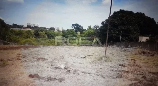 Lote/Terreno à venda, 4900m² no Ipiranga, Ribeirão Preto