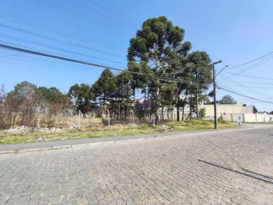 Lote/Terreno à venda, 1038m² no Guatupê, São José dos Pinhais