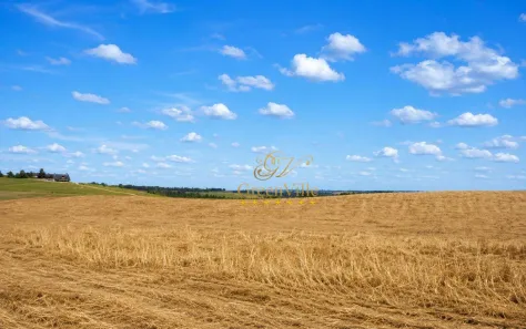 Fazenda/Sítio com 2 Quartos à venda, 629200m² no São Luiz do Purunã, Balsa Nova
