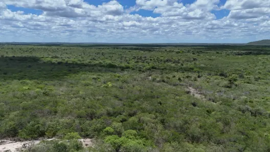 Fazenda/Sítio à venda, 1680000m² no , João Câmara