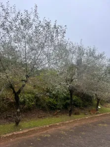 Lote/Terreno à venda, 600m² no Vale das Colinas, Gramado