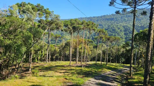 Lote/Terreno à venda, 20400m² no , Urubici