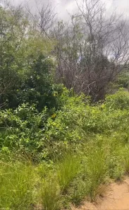 Lote/Terreno à venda, 450m² no Tres Vendas, Araruama