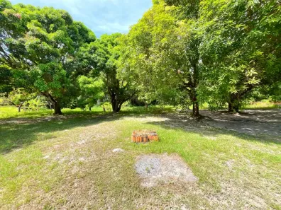 Fazenda/Sítio com 4 Quartos à venda, 11609m² no Monte Gordo (Monte Gordo), Camaçari