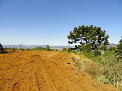 Lote/Terreno à venda, 490000m² no Centro, Sapucaí-Mirim