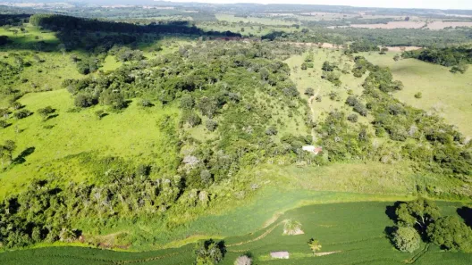 Fazenda/Sítio à venda, 123420000m² no , Bela Vista de Goiás