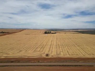 Fazenda/Sítio com 3 Quartos à venda, 650m² no Forte, São João D'Aliança