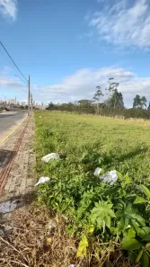 Lote/Terreno à venda, 1800m² no Sertão do Trombudo, Itapema