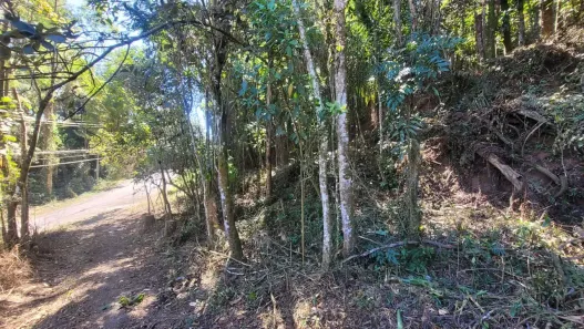 Lote/Terreno à venda, 1762m² no Caraguatá, Mairiporã