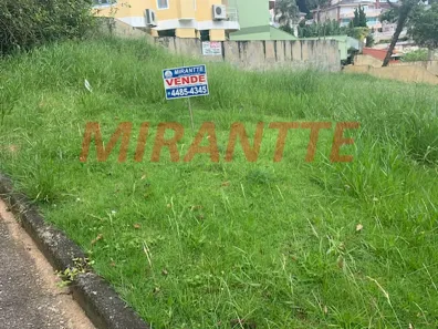 Lote/Terreno à venda, 320m² no Jardim Itatinga, São Paulo