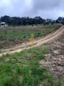 Fazenda/Sítio com 2 Quartos à venda, 8248m² no Nova Descoberta, Balneário Piçarras