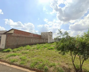 Lote/Terreno à venda, 220m² no Residencial Santa Regina, São José do Rio Preto