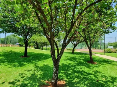 Lote/Terreno à venda, 488m² no Loteamento Terras de Siena, Ribeirão Preto