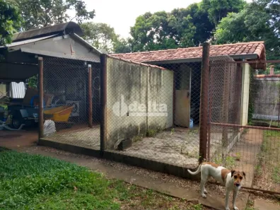 Fazenda/Sítio à venda, 5000m² no Panorama, Uberlândia
