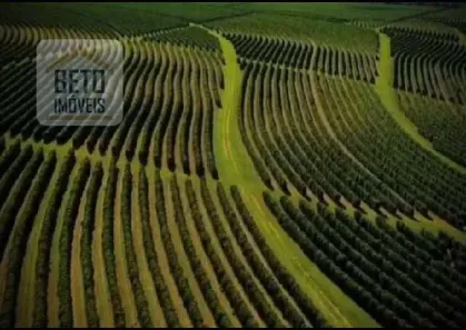 Fazenda/Sítio à venda, 50500000m² no Alvorada, Araxá