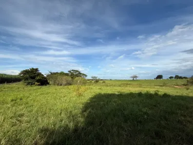 Fazenda/Sítio à venda, 1210000m² no Área Rural de Birigüi, Birigui