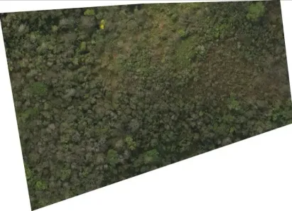 Lote/Terreno à venda, 11271m² no Fazenda Sossego (São Francisco), Cabreúva