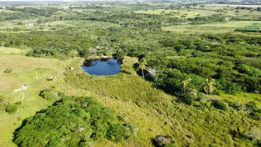 Fazenda/Sítio com 4 Quartos à venda, 800000m² no , Monte Alegre