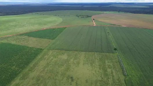Fazenda/Sítio à venda, 16359200m² no , Jussara