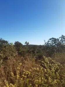Fazenda/Sítio à venda, 79000000m² no Setor Central, Aragoiânia