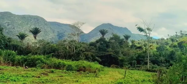 Fazenda/Sítio à venda, 871000m² no , Saúde