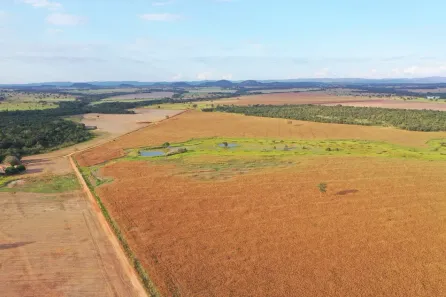 Fazenda/Sítio com 3 Quartos à venda, 606m² no , Matrinchã