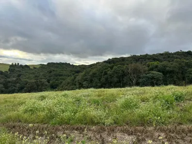 Fazenda/Sítio à venda, 157300m² no Centro, Campo Magro