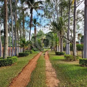 Fazenda/Sítio com 3 Quartos à venda, 145200m² no , Fernão