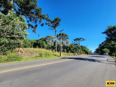 Lote/Terreno à venda, 473m² no Nova Petrópolis, Nova Petrópolis