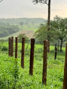 Fazenda/Sítio à venda, 5m² no , São Miguel do Passa Quatro