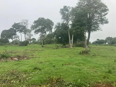 Fazenda/Sítio à venda, 3200000m² no Cipolândia, Aquidauana