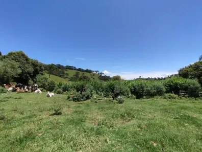 Fazenda/Sítio com 3 Quartos à venda, 431800m² no , Delfim Moreira