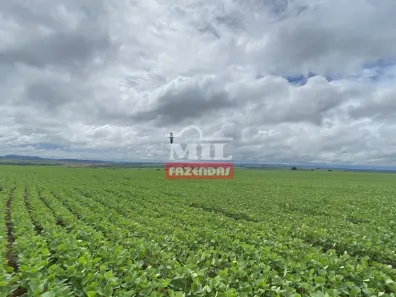 Fazenda/Sítio à venda, 500m² no Área Rural de Caldas Novas, Caldas Novas