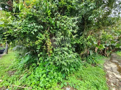 Lote/Terreno à venda, 396m² no Riviera, Bertioga