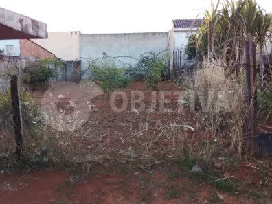 Lote/Terreno à venda, 250m² no Laranjeiras, Uberlândia