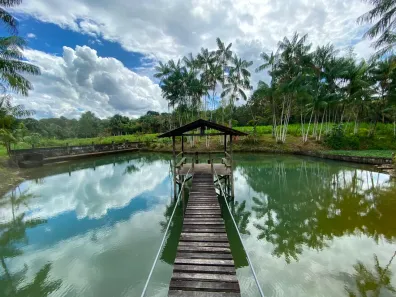 Fazenda/Sítio com 5 Quartos à venda, 250000m² no São Raimundo de Borralhos, Santo Antônio do Tauá