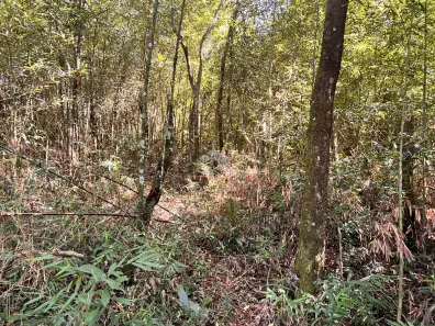 Lote/Terreno à venda, 600m² no Mato Dentro, Mairiporã