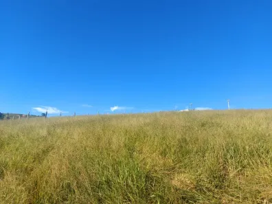 Lote/Terreno à venda, 1000m² no Parque San Marino, Piracaia