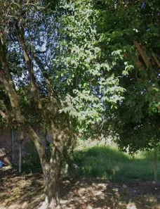 Lote/Terreno à venda, 330m² no Feitoria, São Leopoldo