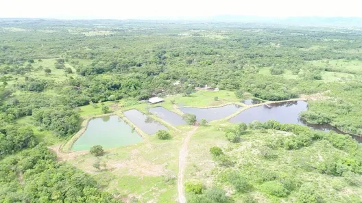Fazenda/Sítio com 3 Quartos à venda, 34m² no Nossa Senhora da Guia, Cuiabá