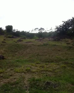 Lote/Terreno à venda, 35000m² no Vale das Laranjeiras, Indaiatuba