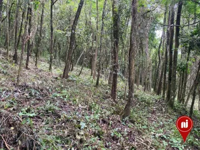 Lote/Terreno à venda, 1000m² no Brumadinho, Brumadinho
