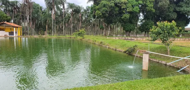 Fazenda/Sítio com 4 Quartos à venda, 23000m² no Ponte Alta Norte, Brasília