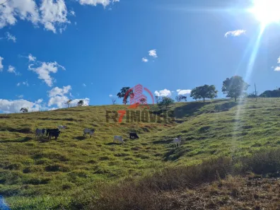 Fazenda/Sítio à venda, 1m² no , Bela Vista de Goiás