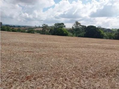 Lote/Terreno à venda, 121000m² no Vila Cascata, Arapongas