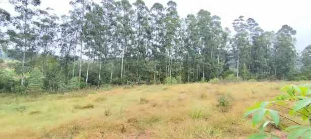 Fazenda/Sítio à venda, 2091m² no Rolante, Rolante