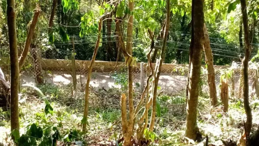 Fazenda/Sítio à venda, 810m² no Chácara Rincão, Cotia